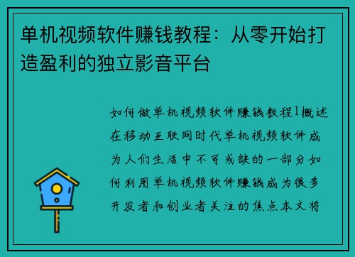 单机视频软件赚钱教程：从零开始打造盈利的独立影音平台